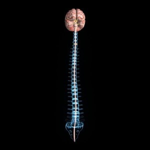 general-spine-risks